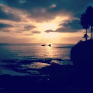 Meet your Posher, Jeff